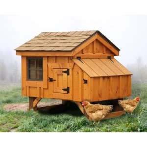  Chicken Coop 3 X 4 Chicken House Holds 3 4 Chickens Pet 