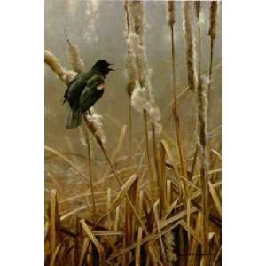   Robert Bateman   Winter Cattails Red Winged Blackbird