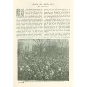  1901 White House Easter Egg Hunt illustrated Everything 