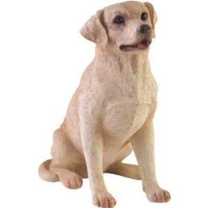  Labrador Retriever   Small Size 