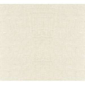  1542 Reliant in Ivory by Pindler Fabric