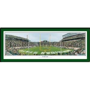  19 Yard Line MSU Spartans Panoramic Picture Sports 