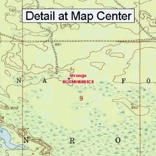  USGS Topographic Quadrangle Map   Strongs, Michigan 