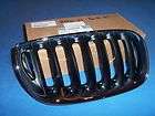 BMW Z4 Chrome Factory Grille Second Generation OEM