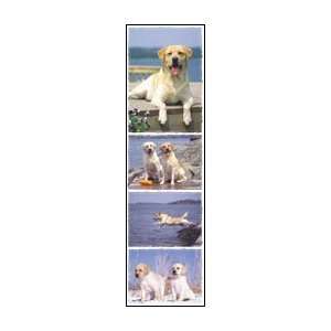  Yellow Lab Stickers   Strip of 4 Toys & Games