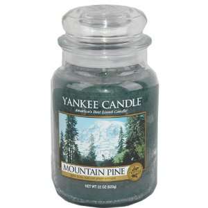  Large Mountain Pine Candle