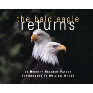  The Bald Eagle Returns