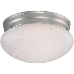  Forte Lighting 6203 02 55 N/A