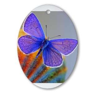  Ornament (Oval) Xerces Purple Butterfly 