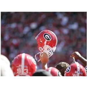  NCAA Georgia Bulldogs 17 x 23 Raised Helmet Vinyl Wall 