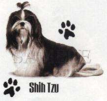 shih tzu