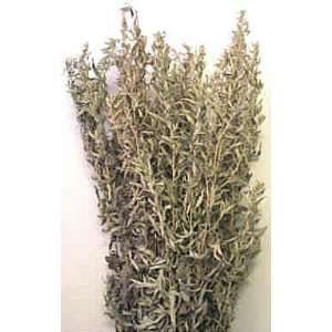    Dried Artemesia (Artemisia, Silver King, Wormwood)