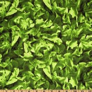  44 Wide Farmers Market Bibb Lettuce Green Fabric By The 