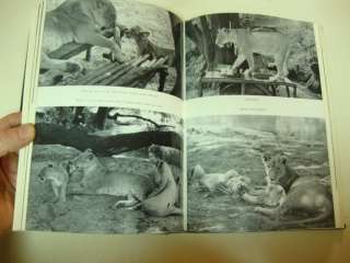 Living Fee Story of Elsa and Her Cubs 1961 Joy Adamson  