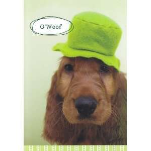  Greeting Card St. Patricks Day Owoof