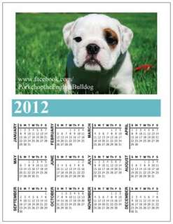 English Bulldog 2012 Photo Calendar Magnet  