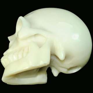 White Coral SKULL 5 Skeleton Sculpture Carving  