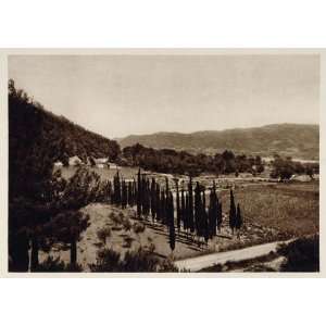  1928 Stadium Festplaz Stade Olympia Greece Photogravure 