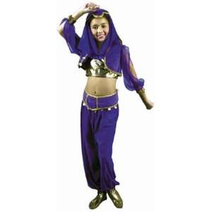  Childs Arabian Princess Girls Costume (SizeX large 12 