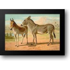  Abyssinian Male and Indian Onager Female 33x24 Framed Art 