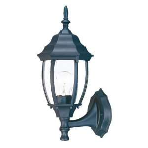  Acclaim Lighting 5011BW Wexford Small Outdoor Sconce