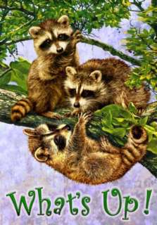 Raccoons In Tree Whats Up Garden Mini Original Art Flag Custom 