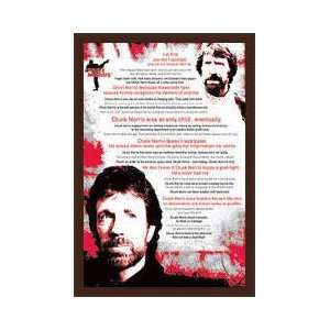Chuck Norris The Best Framed Poster