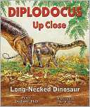 Diplodocus up Close Long Necked Dinosaur