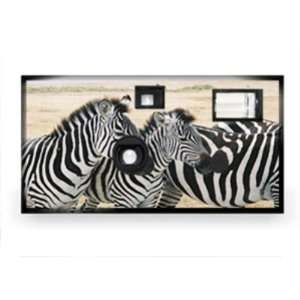    Animal Disposable Camera   Zebra Case Pack 20