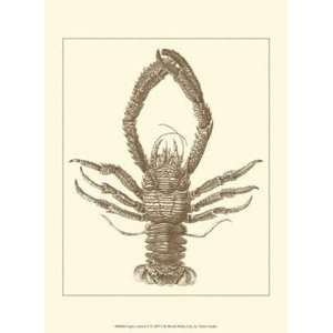  Sepia Lobster II by Unknown 10x13