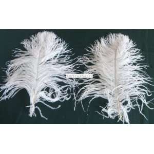Ostrich~5 Mini Wing Ostrich Plumes WHITE Ostrich Feather 10 13 Long 