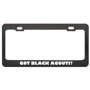 Got Black Agouti? Animals Pets Black Metal License Plate Frame Holder 