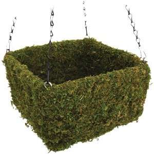   Moss Square Hanging Basket, Spring Green, Small Patio, Lawn & Garden
