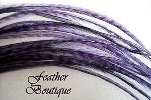 Whiting Extra Super Long Purple Grizzly Salon Feather Hair Extension 