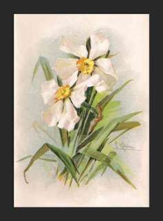 CATHERINE KLEIN Flower Chromo, c. 1895  