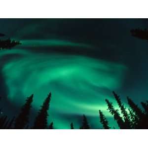 Aurora Borealis Swirling in the Night Sky, Alaska Premium Photographic 