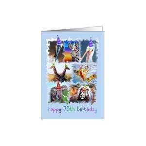  Colorful 75th Birthday Zoo Animals Card Toys & Games