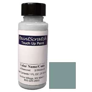  1 Oz. Bottle of Waterworld Pearl Effect Touch Up Paint for 