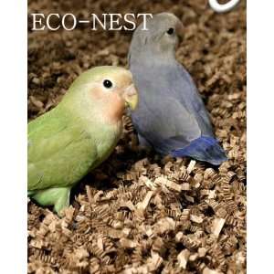  Fibercore Eco Nest Bird Bedding 10 Lb