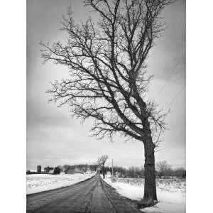  Farm Road in Late Winter , Limited Edition Photograph 