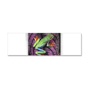  21 x 7 Wall Vinyl Sticker Red Eyed Tree Frog on Purple 