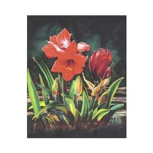  Amaryllis Poster Print