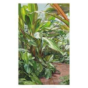    Heliconias Palm IV by Cohen Elyse 17x26  Players & Accessories