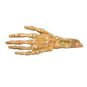  Hand Rotted Flesh And Bone Prop