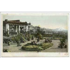   Roof Garden, Hotel Lincoln, Seattle, Wash 1898 1931