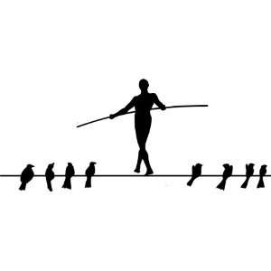  Removable Wall Decals  Birds and Man on wire