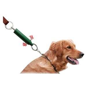  Dog Tweeter Training Aid   Green (Quantity of 3) Health 