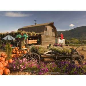 Log Barn and Fruit Stand in Autumn, British Columbia, Canada 