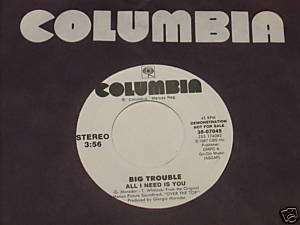 Big Trouble 7 45 PROMO Record All I Need Is You NM  