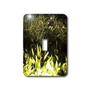  Florene Plants   Ferns and Purple Flowers   Light Switch 